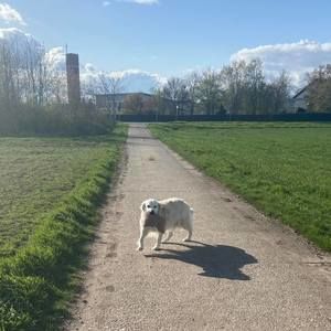 Meet your Posher, Holly